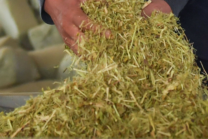 生物質(zhì)烘干機(jī)廠家鄭州東鼎干燥開發(fā)了大型檸條烘干機(jī)成套設(shè)備，實現(xiàn)了檸條資源規(guī)模化利用之路。